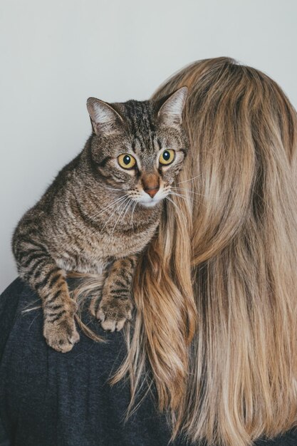 Portrait of a cat