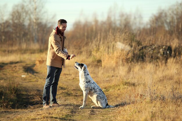 portrait of a caucasian man training central asian shepherd dog on autumn sunny field