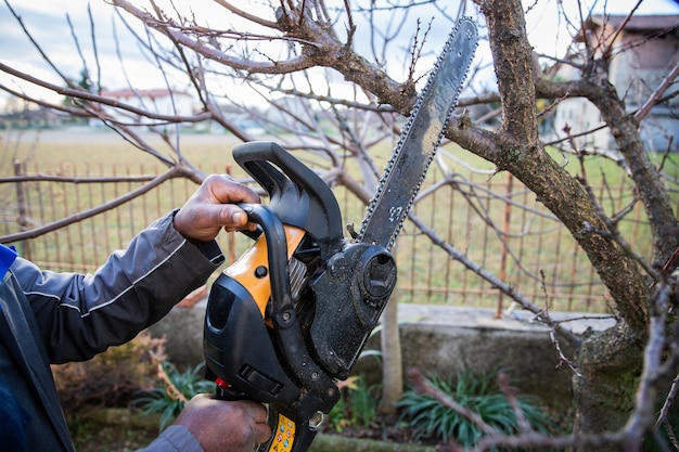 Portrait of a chainsaw used by a black woodcutter to cut a branch