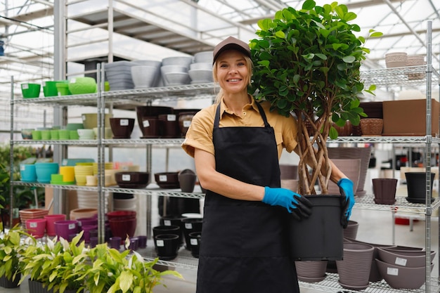 Portrait of cheerful female florist in apron and cap holding pot with green plant