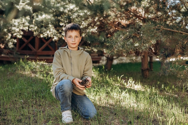 Portrait of child collecting and holding pine cones in forest Teenager boy enjoying nature walking in park in summer day Concept of local travel
