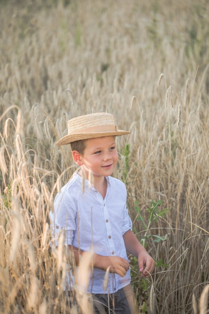 Portrait child Little boy on a wheat field