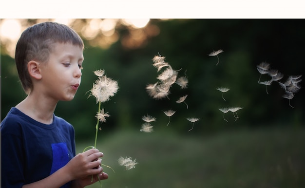 Bambino del ritratto all'aperto in natura che soffia un dente di leone alla sera soleggiata di estate.