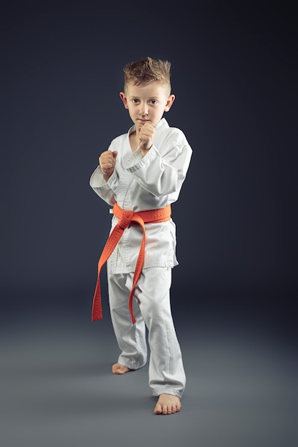 Portrait of a child with kimono practicing martial arts