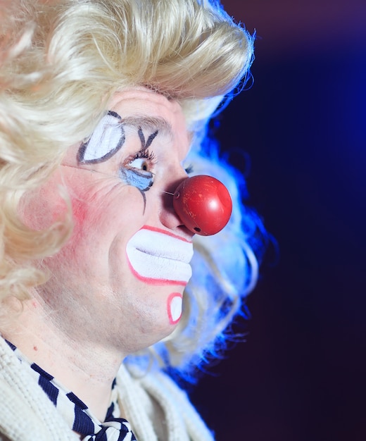 Ritratto di un clown nell'arena del circo.