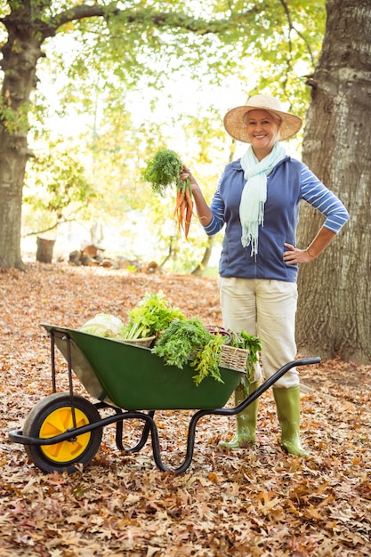 Portrait of confident gardener with vegetables in wheelbarrow at botanical garden