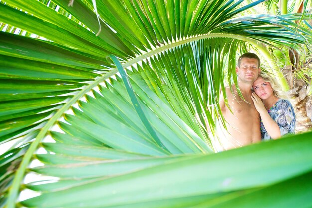 Foto ritratto di una coppia vista attraverso le foglie di palma
