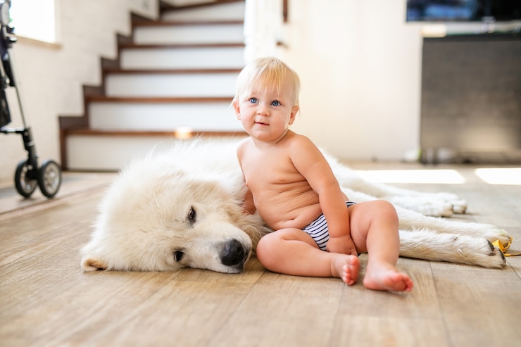 Photo portrait of cute adorable little blonde baby boy sitting with dog at home. smiling child holding animal domestic pet. happy childhood concept