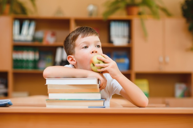 Portrait of cute boy on top of book stack. The concept of learning in primary school.