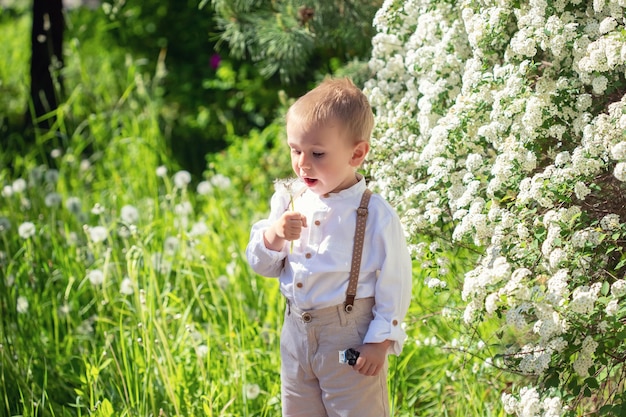 ソフトフォーカスと選択的なフォーカスで夏の公園でタンポポを吹くかわいい白人の小さな男の子の肖像画