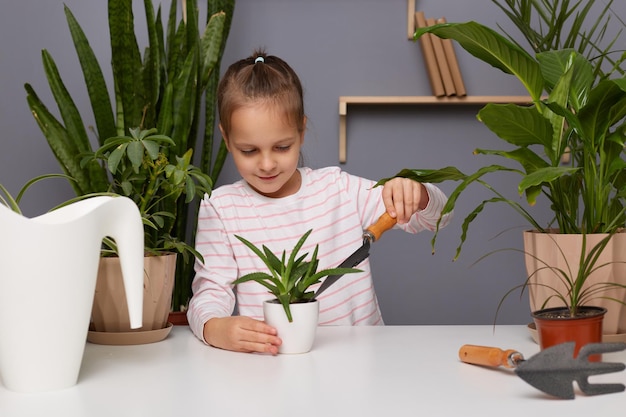 店内の植物を手伝って庭のシャベルを持って花を植え替える温室でポーズをとるカジュアルなスタイルの服装を着たかわいい魅力的な集中少女の肖像画