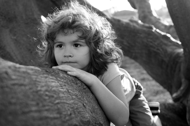 야외에서 나무를 등반 화창한 날 아이에 나뭇가지 나무에 앉아 귀여운 꼬마 소년의 초상화 sunn