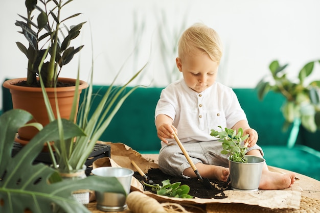 A portrait of a cute little boy sitting on a table and transplanting plants