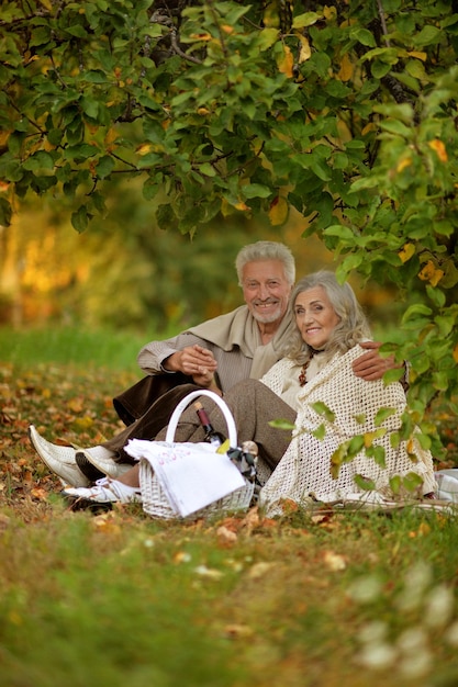 Portrait of a cute senior couple outdoors