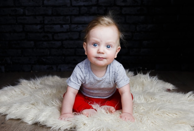 Photo portrait of a cute six month old baby.