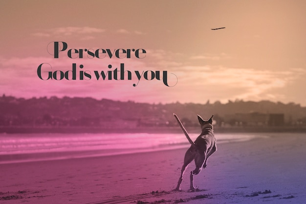 Portrait of dog on the beach with gradient effect and religious quote