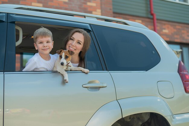 portrait of dog sitting in car