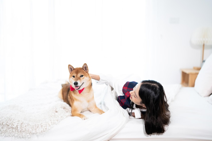 Photo 家に座っている犬の肖像画