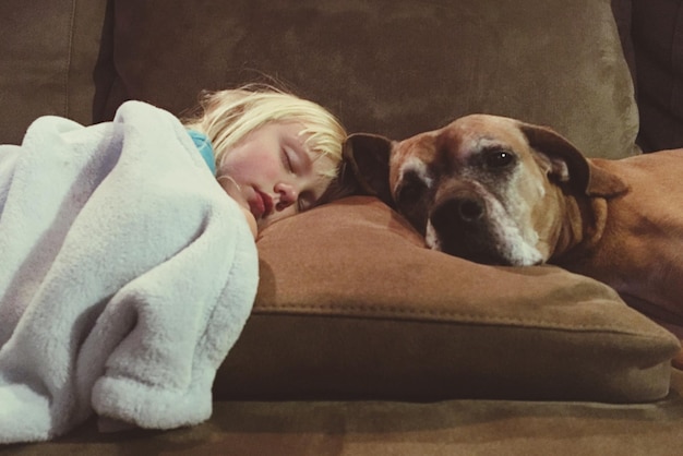 portrait of dog sleeping by girl on sofa at home