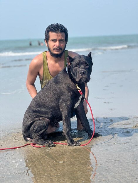 Portrait of dog standing at beach