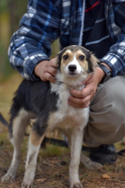 Foto ritratto di un cane in piedi a terra