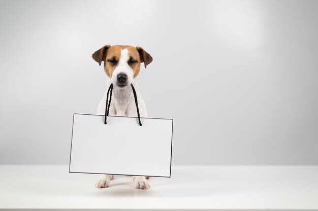 Photo portrait of a dog