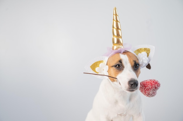 犬の肖像画