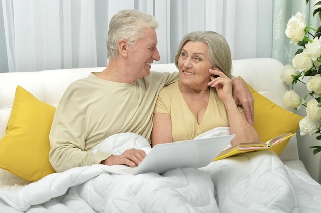 Portrait of an elderly couple with a laptop