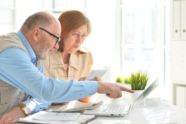 Portrait of an elderly couple with a laptop