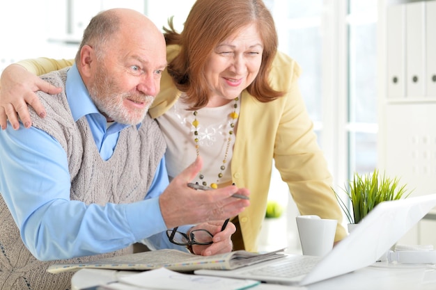 Portrait of an elderly couple with a laptop