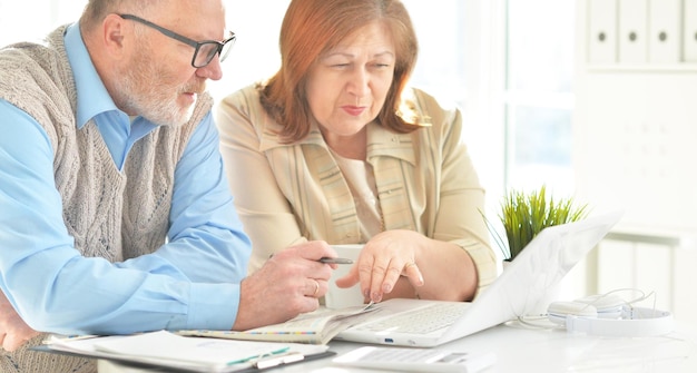 Portrait of an elderly couple with a laptop