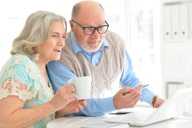 Portrait of an elderly couple with a laptop