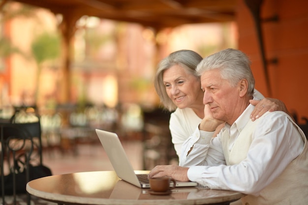 Portrait of an elderly couple with a laptop