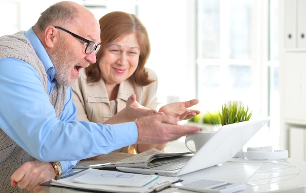 Portrait of an elderly couple with a laptop