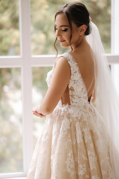 Portrait of elegant bride in wedding dressed in front of big window bride morning concept