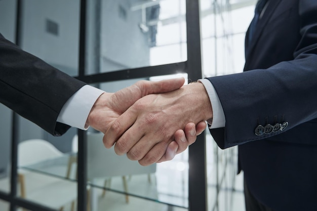 Portrait of elegant businessmen handshaking in conference hall