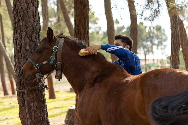 Portrait of a farmer grooming and caring for his horse on his farm