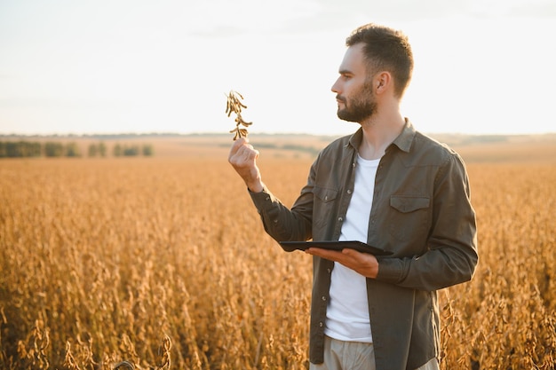 Portrait of farmer standing in soybean field at sunset