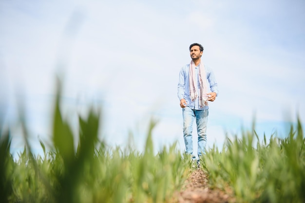 Портрет фермера, стоящего на пшеничном поле Фермер стоит на зеленом пшеничном поле, смотрит и осматривает свой урожай