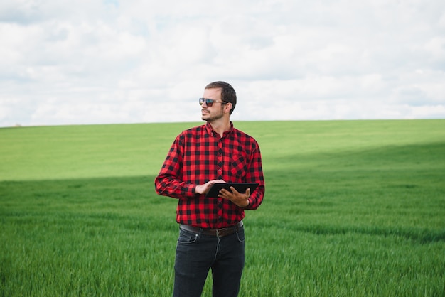 Portrait of farmer standing in young wheat field holding tablet in his hands and examining crop