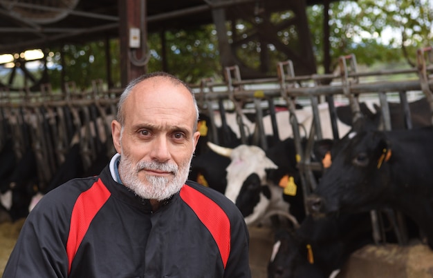 Portrait of a farmer with cows