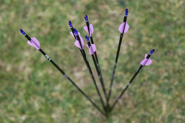 Photo portrait of feathering arrows from a bow on the grass.