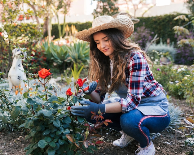 Photo portrait of a female gardener cutting the rose plant with secateurs