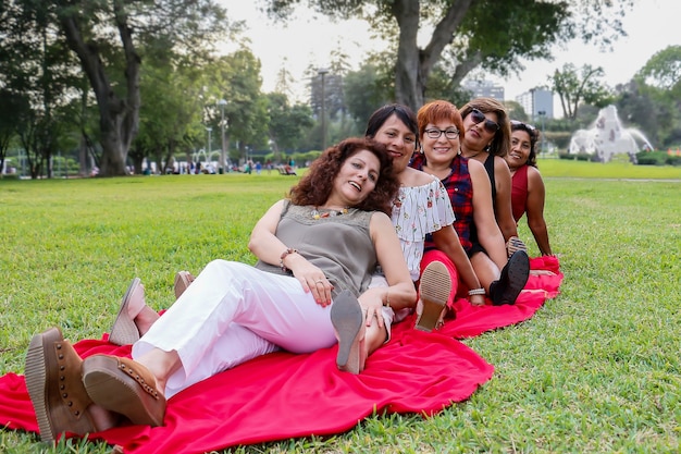 Ritratto di cinque belle donne di 50 anni durante un picnic