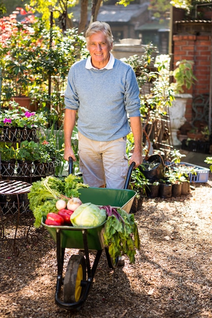 Portrait of gardener carrying organic vegetables in wheelbarrow at garden