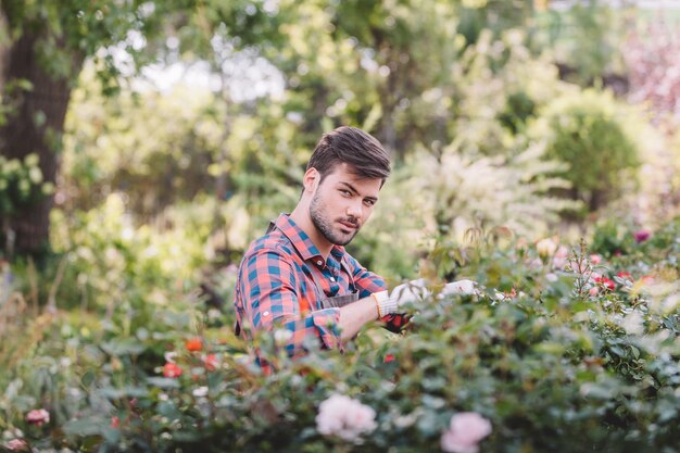 Portrait of gardener in protective gloves looking at camera while checking plants during work in