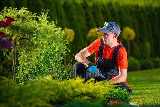 Photo portrait of gardener