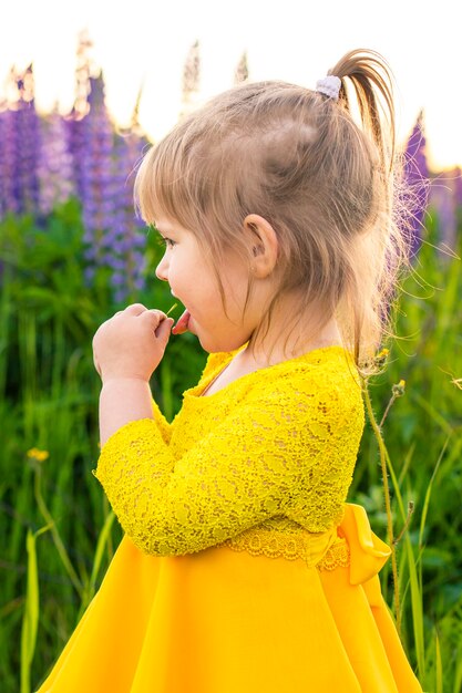 Portrait of a girl in a blooming field in the sun at sunset