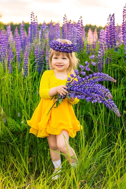 Portrait of a girl in a blooming field in the sun at sunset