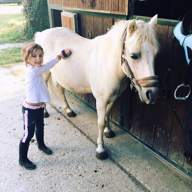 Portrait of girl cleaning horse